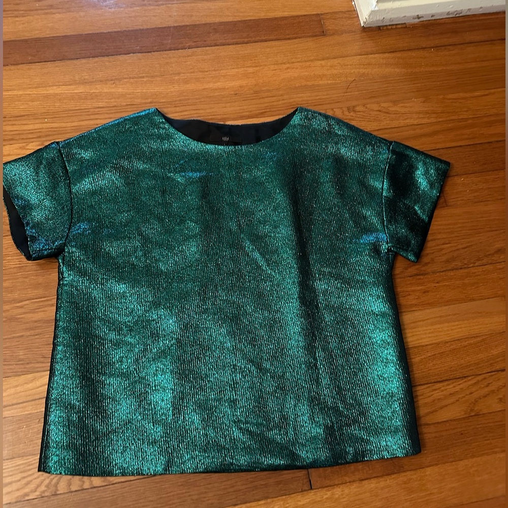 Shimmering Green Top